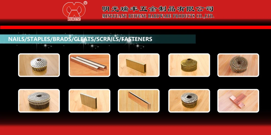 Eg Roofing Nails Wire Coil Nails Hot Sale