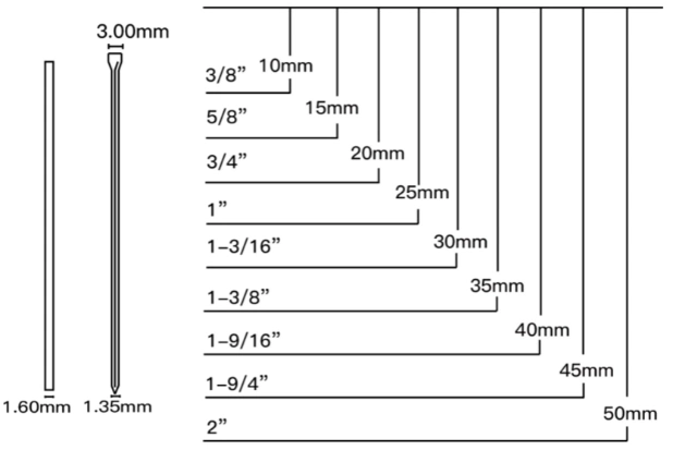 High Quality Staples /T50 Brad Nails for Furniture