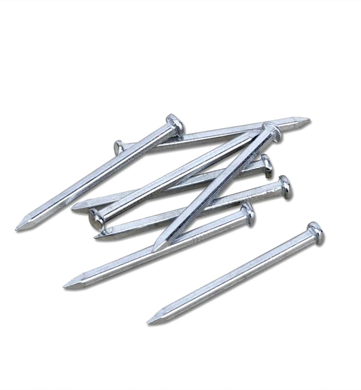 Galvanized Rose Head Square Boat Nail in Guangzhou