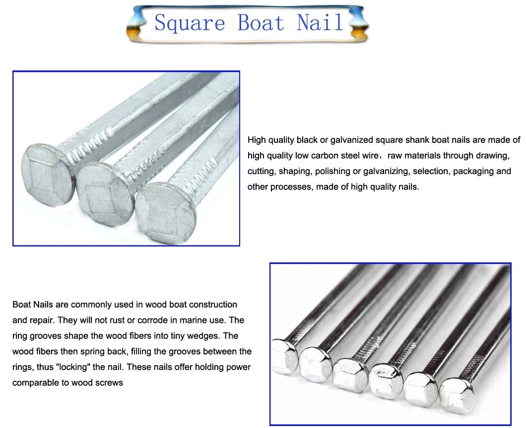 Advanced Technology Polished/Galvanized Smooth Shank Common Nail Square Boat Nail