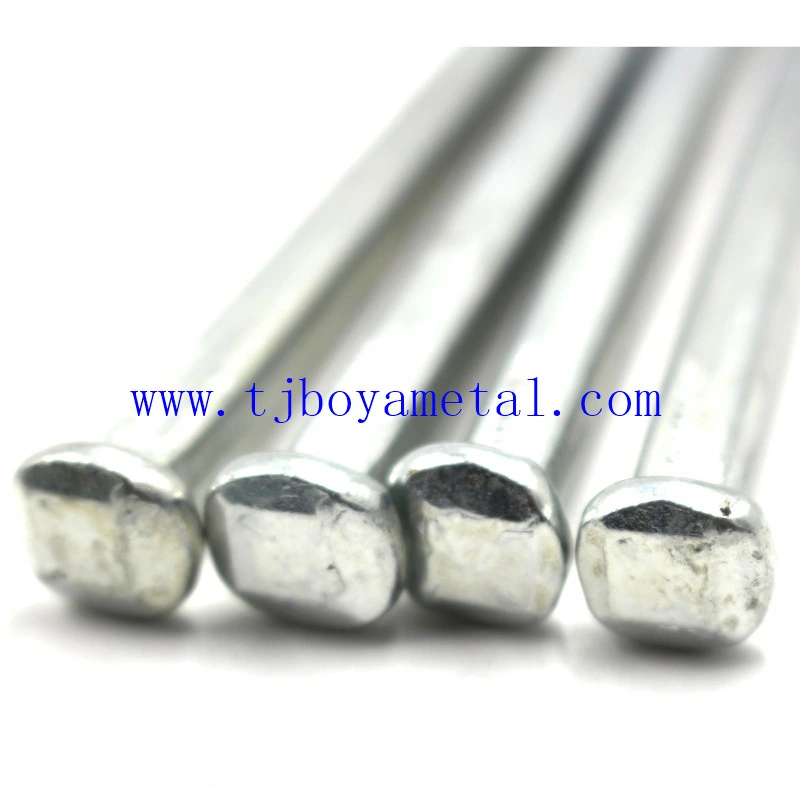 Galvanized Square Shank Iron Nails for Boat and Building