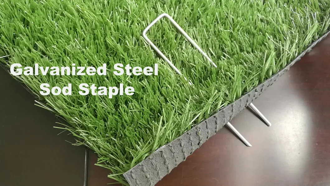 Artificial Grass SOD Staple Stake Fence Staple Lawn U Type Turf Nail Export to Us UK Australia