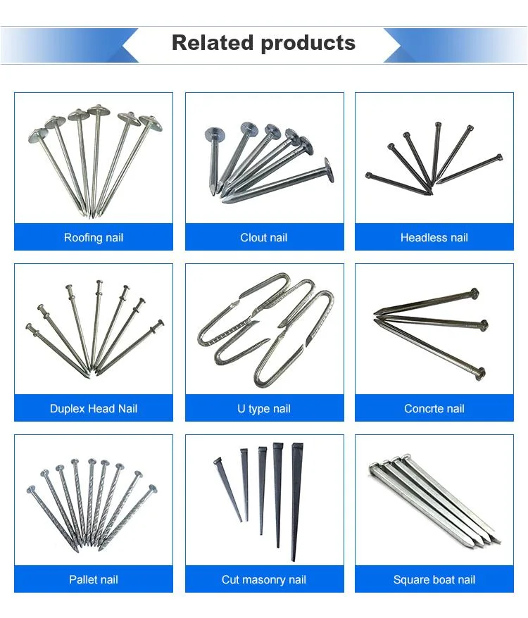 Hot Sale Galvanized Square Boat Nail/Polished Boat Nail From Tainjin Boya with Good Quality