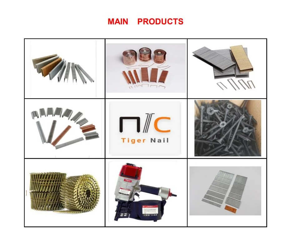 Omega16; Omega18; Omega20 Standard Stapler Tiger Pallet Coil Binding Nail