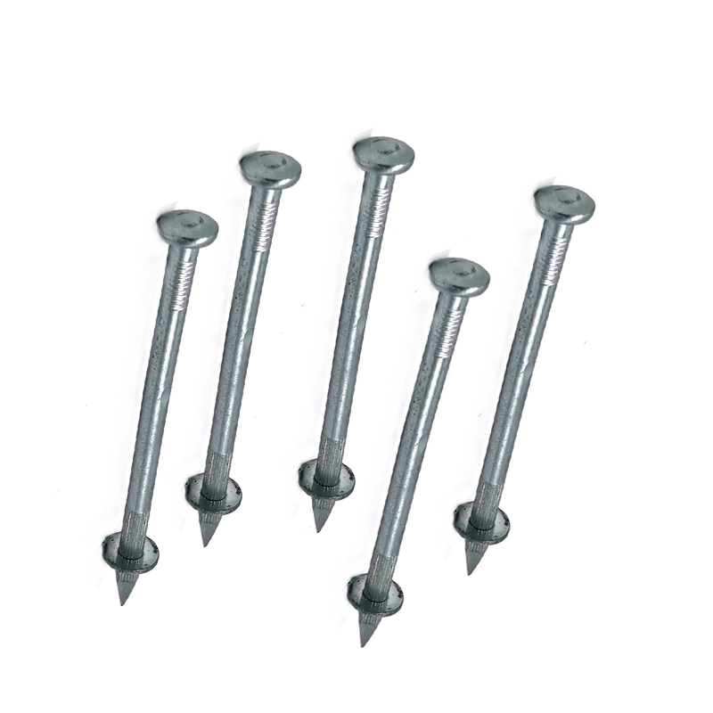 Steel Coil Nails for Wooden Pallet Screw Shank Nail Non-Point Nail