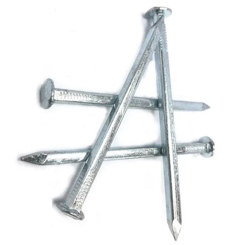 Singapore Market Electro Galvanized Square Boat Nails Copper Nail for Boat