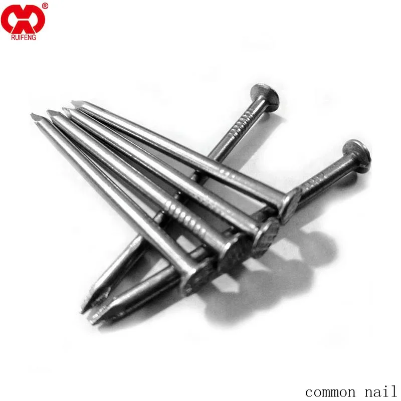 Bulk Nail Common Wood Nail